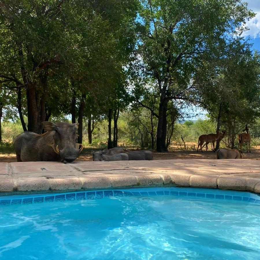 Twiga Lodge Mabalingwe Bela-Bela Luaran gambar