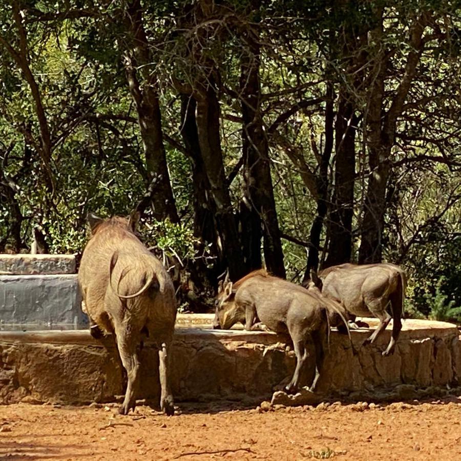 Twiga Lodge Mabalingwe Bela-Bela Luaran gambar