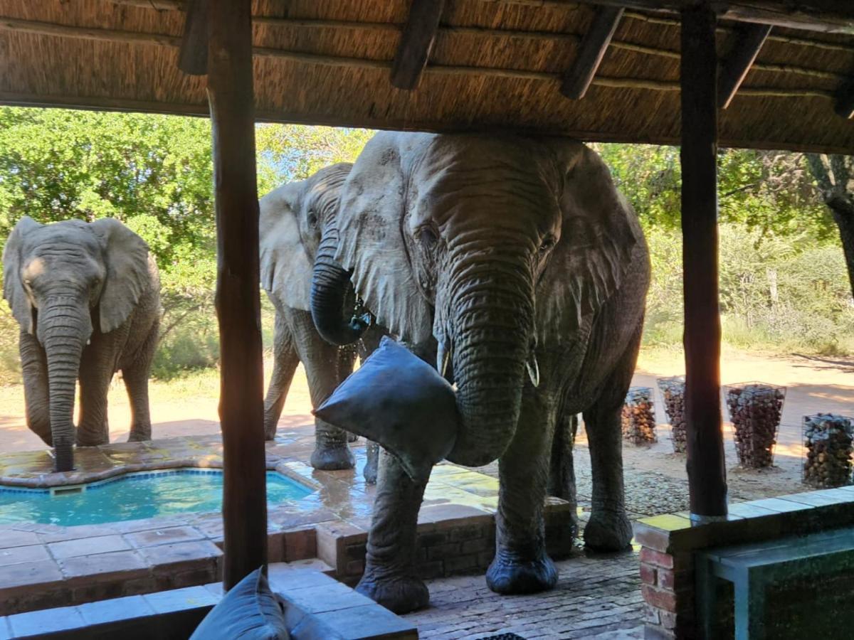 Twiga Lodge Mabalingwe Bela-Bela Luaran gambar