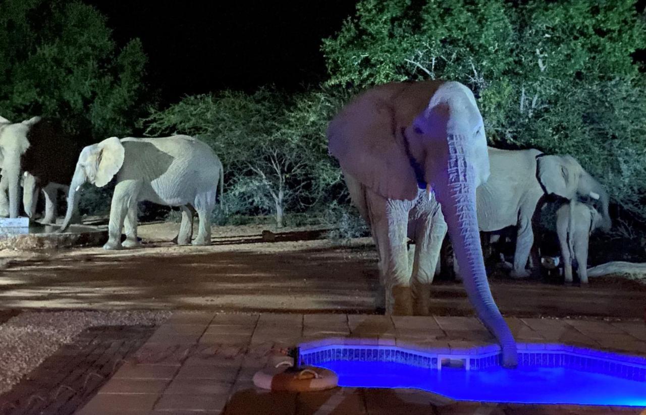 Twiga Lodge Mabalingwe Bela-Bela Luaran gambar